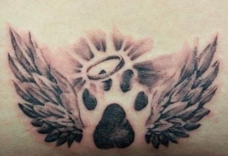 animal paw print tattoos hayvan ayak izi dovmeleri 4 20100328 1757934635